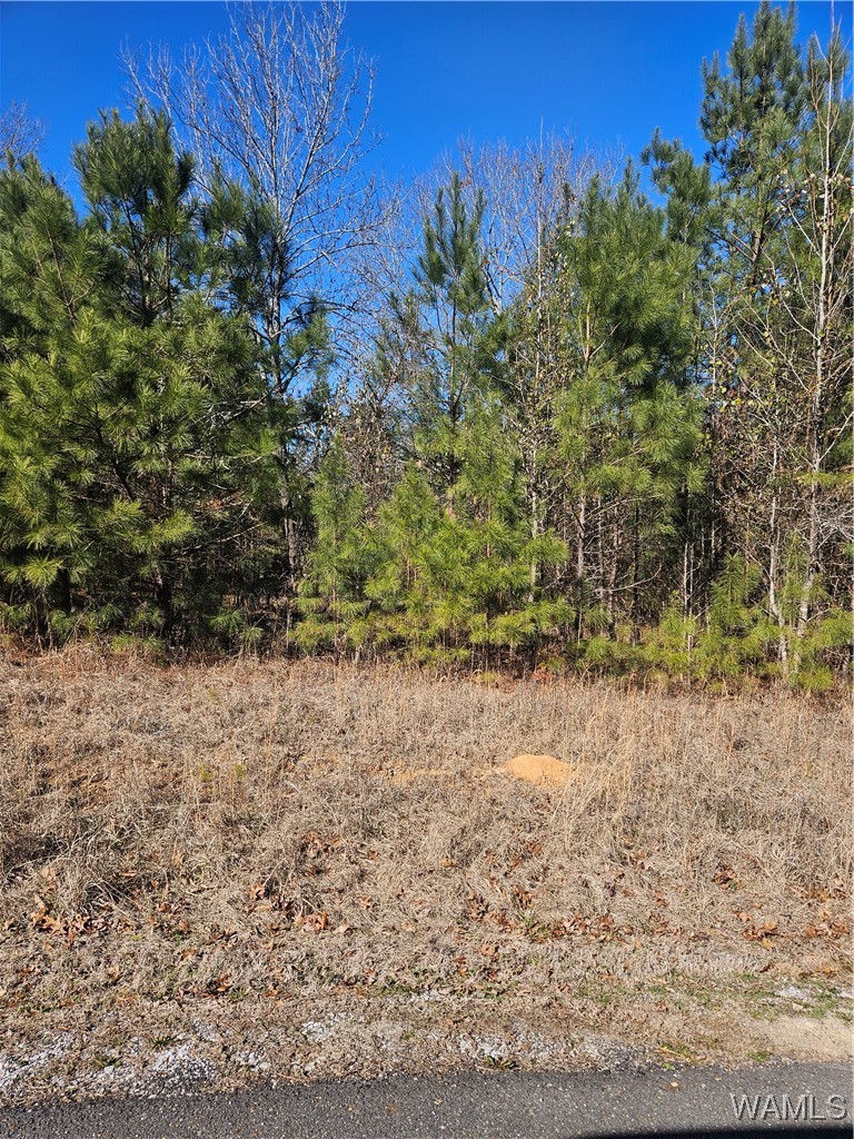 Land in Woodstock 2