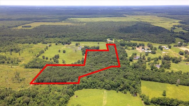 00 Lloyd Fregia Road, Home with 0 bedrooms, 0 bathrooms and null parking in Batson TX | Image 14