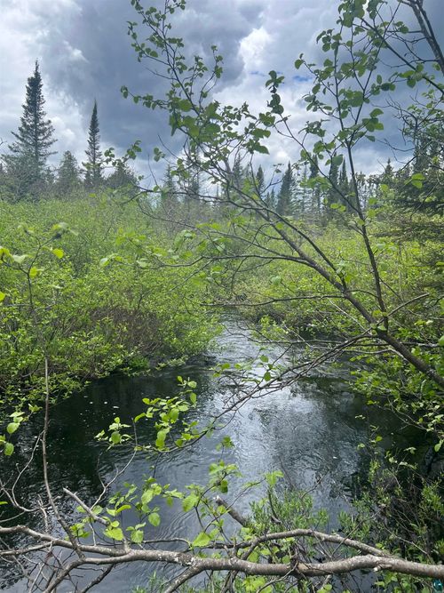 XXX Camp 26 Rd, Finland, MN, 55614 | Card Image