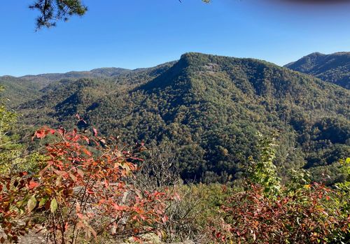 91 Waterdance Drive, Cullowhee, NC, 28723 | Card Image