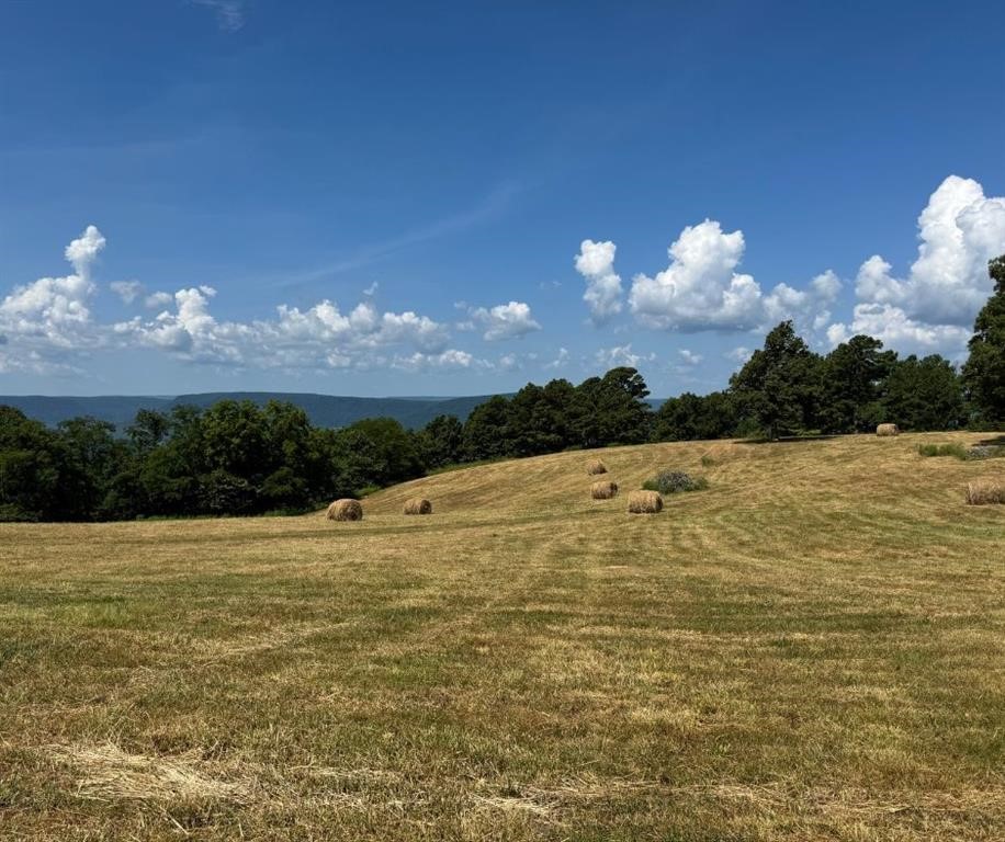 Land in Mount Judea 3