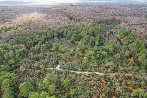 5408 S Benton Ter, HOMOSASSA, FL, 34448 | Card Image