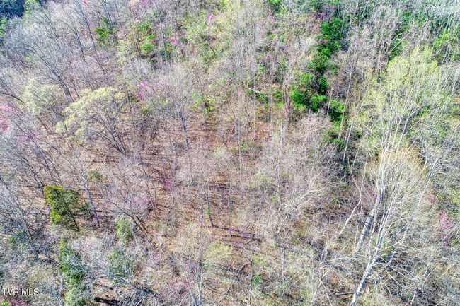 000 Sensabaugh Hollow Rd, Home with 0 bedrooms, 0 bathrooms and null parking in Church Hill TN | Image 18
