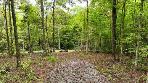 7-7 Walkers Ln, Chase City, VA, 23924 | Card Image