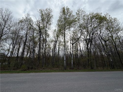 0 Farney Pit Rd, Carthage, NY, 13619 | Card Image