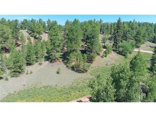 787 Spring Valley Ln, Florissant, CO, 80816 | Card Image