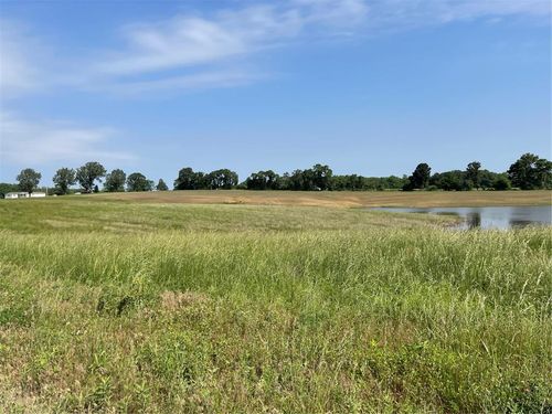 0 Tract 3 County Road 260/262, Bloomfield, MO, 63825 | Card Image