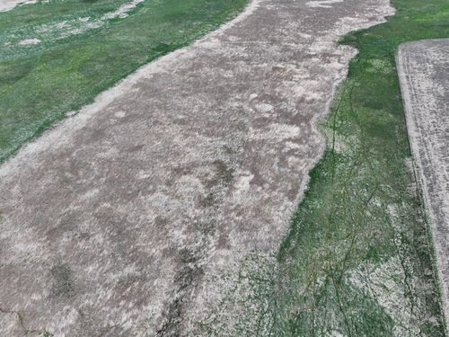 TBD County Road 11, Litchville, ND, 58461 | Card Image