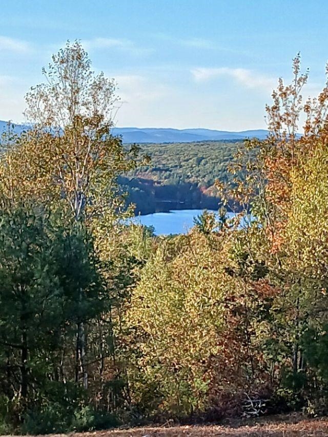 Land in Gilmanton