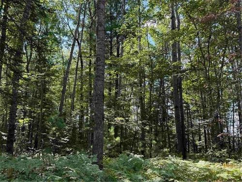 xxx Gravel Pit Rd, Iron River, WI, 54847 | Card Image