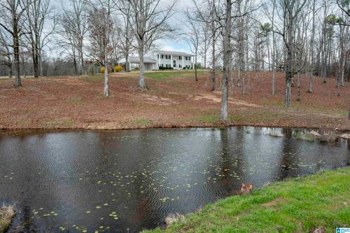 3060 Highway 47, SHELBY, AL, 35143 | Card Image