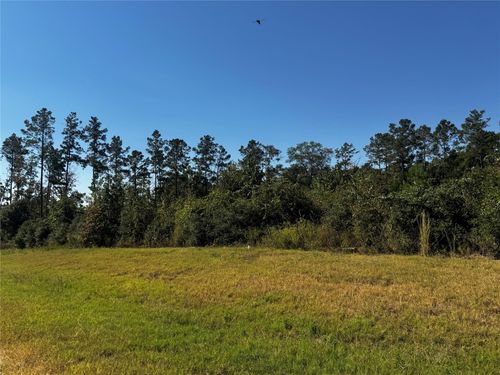 15279 Rubicon Rd, Willis, TX, 77378-3229 | Card Image
