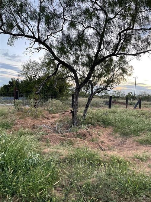 78 Energy Rd, San Isidro, TX, 78588 | Card Image