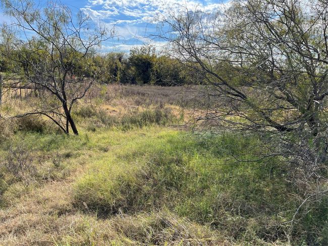 View around dam | Image 9