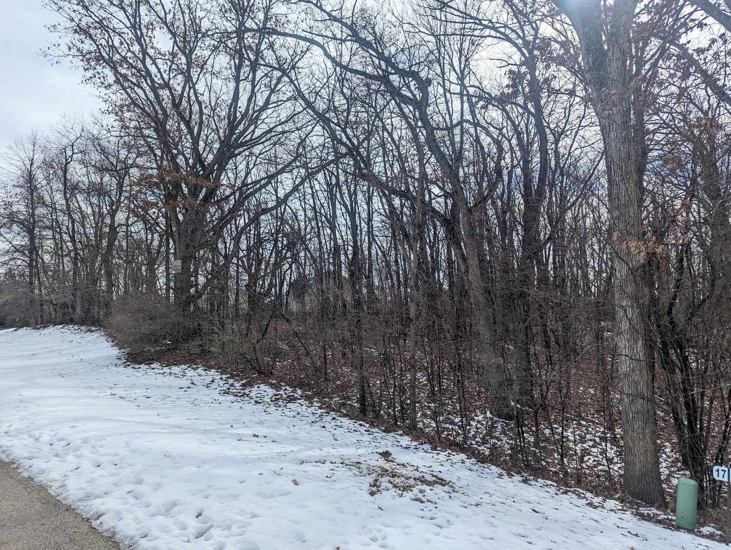 Land in Spring Grove