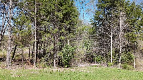Lot #17 Farm Road 2262, Golden, MO, 65658 | Card Image