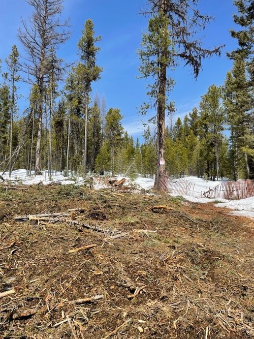 NHN Dirty Ike Creek Rd, Clinton, MT, 59825 | Card Image