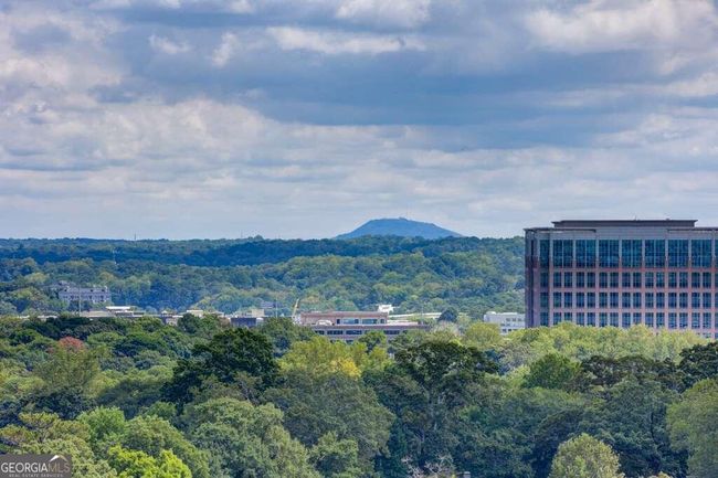 APT-21E - 2575 Peachtree Rd Ne, Condo with 2 bedrooms, 2 bathrooms and null parking in Atlanta GA | Image 26