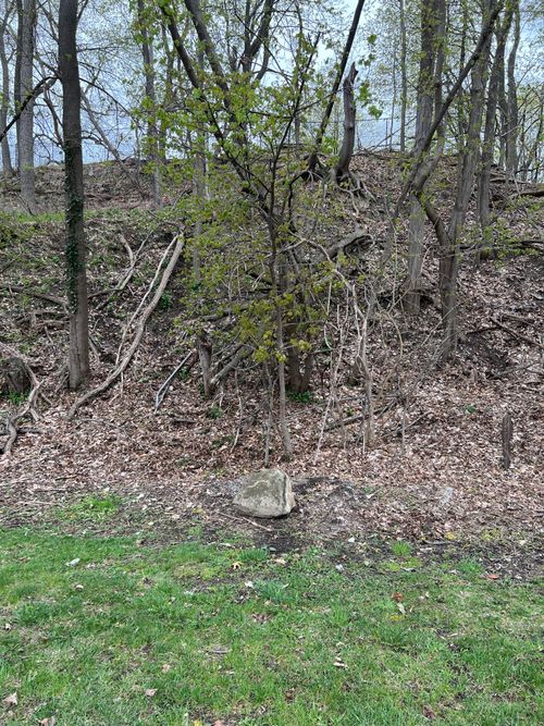 0000 E Rex Ave Avenue, Genesee Charter Township, MI, 48505 | Card Image