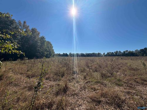22 acres Moon Road, Horton, AL, 35980 | Card Image