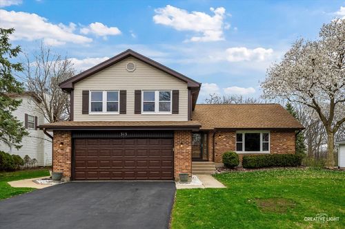 313 Bayberry Dr, Algonquin, IL, 60102-1971 | Card Image