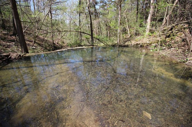 361 Rim Shoals Ln, House other with 2 bedrooms, 1 bathrooms and null parking in Mountain Home AR | Image 8