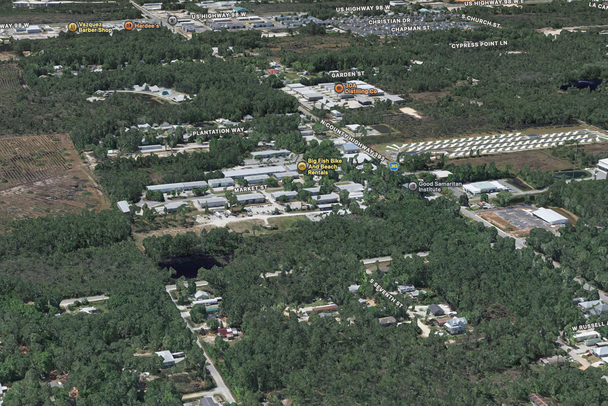 Land in Santa Rosa Beach 5