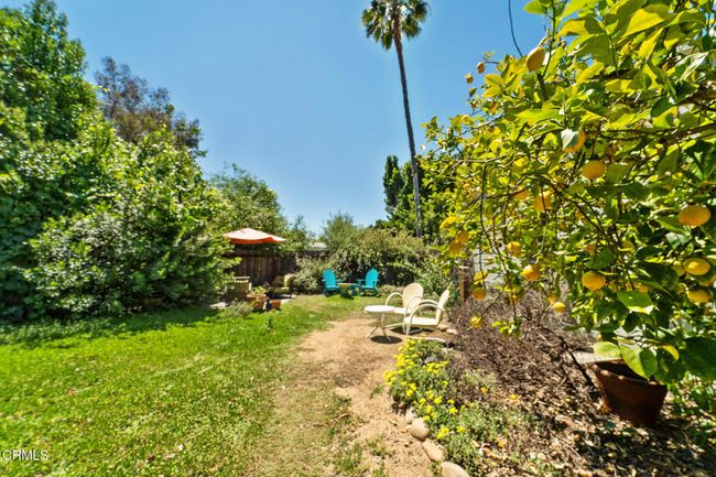 rear yard 3 | Image 30
