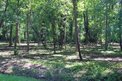 310 Slippery Rock Drive, Dixon, IL, 61021 | Card Image