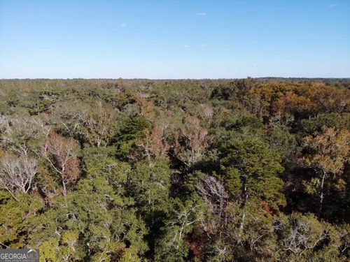 0 Ocmulgee St, Lumber City, GA, 31549 | Card Image