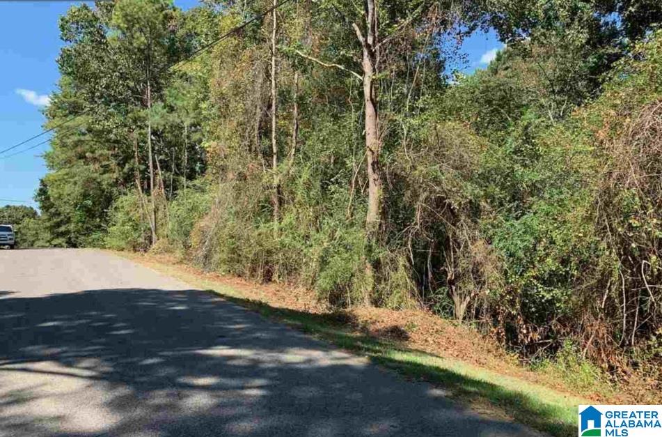 Land in HUEYTOWN
