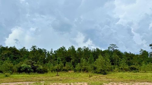 13195 Blackberry Dr, Lumberton, TX, 77657-1219 | Card Image