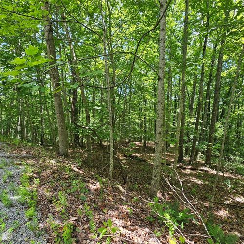 Lot 555 Oak St, Dunlap, TN, 37327 | Card Image