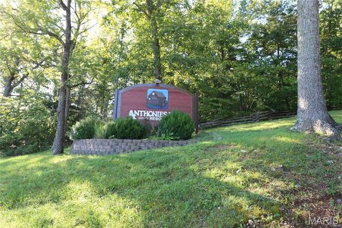 229 Anthonies Mill Est, Bourbon, MO, 65441-9211 | Card Image