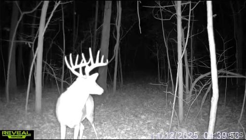 00 County 208 Road, Fayette, MO, 65248 | Card Image