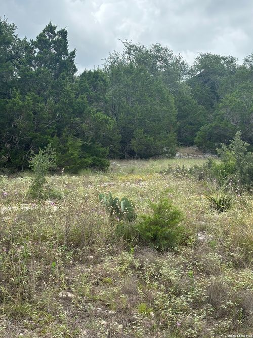 1328 Powder Ridge Rd, New Braunfels, TX, 78132-3496 | Card Image