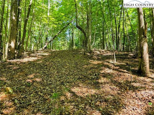 2 Brightwood Trl N, Deep Gap, NC, 28618 | Card Image