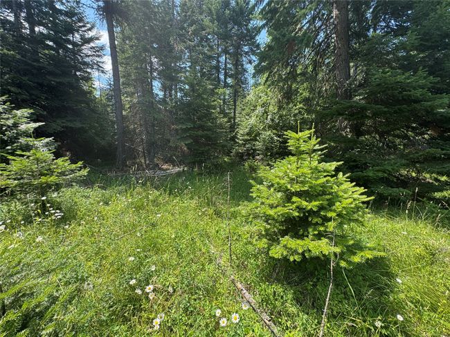 13643 Sundance Trail, Bigfork, MT 59911 | Image 11