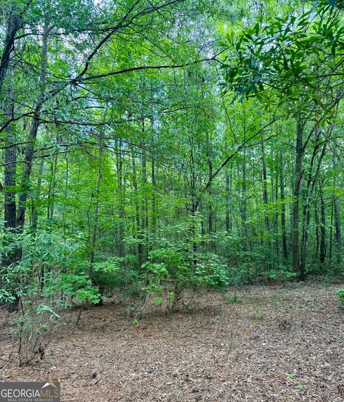 1006 Old Louisville Rd, Harlem, GA, 30814-4308 | Card Image