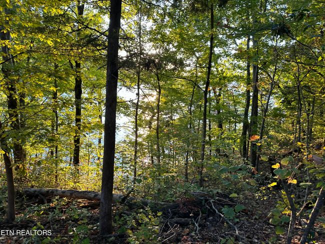 778 Russell Bros Rd, Home with 0 bedrooms, 0 bathrooms and null parking in Sharps Chapel TN | Image 8