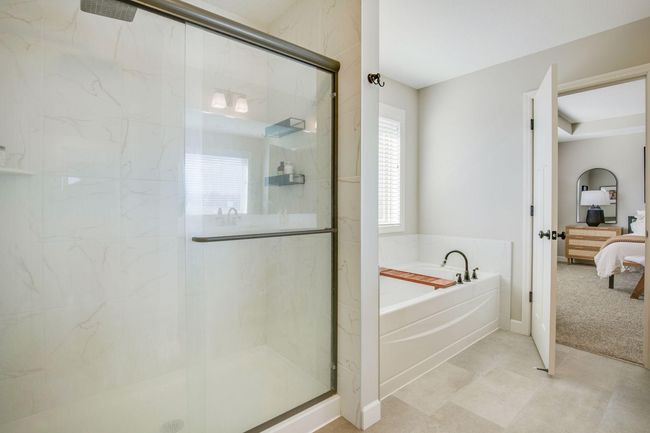 Stand up show and large soaking tub | Image 32