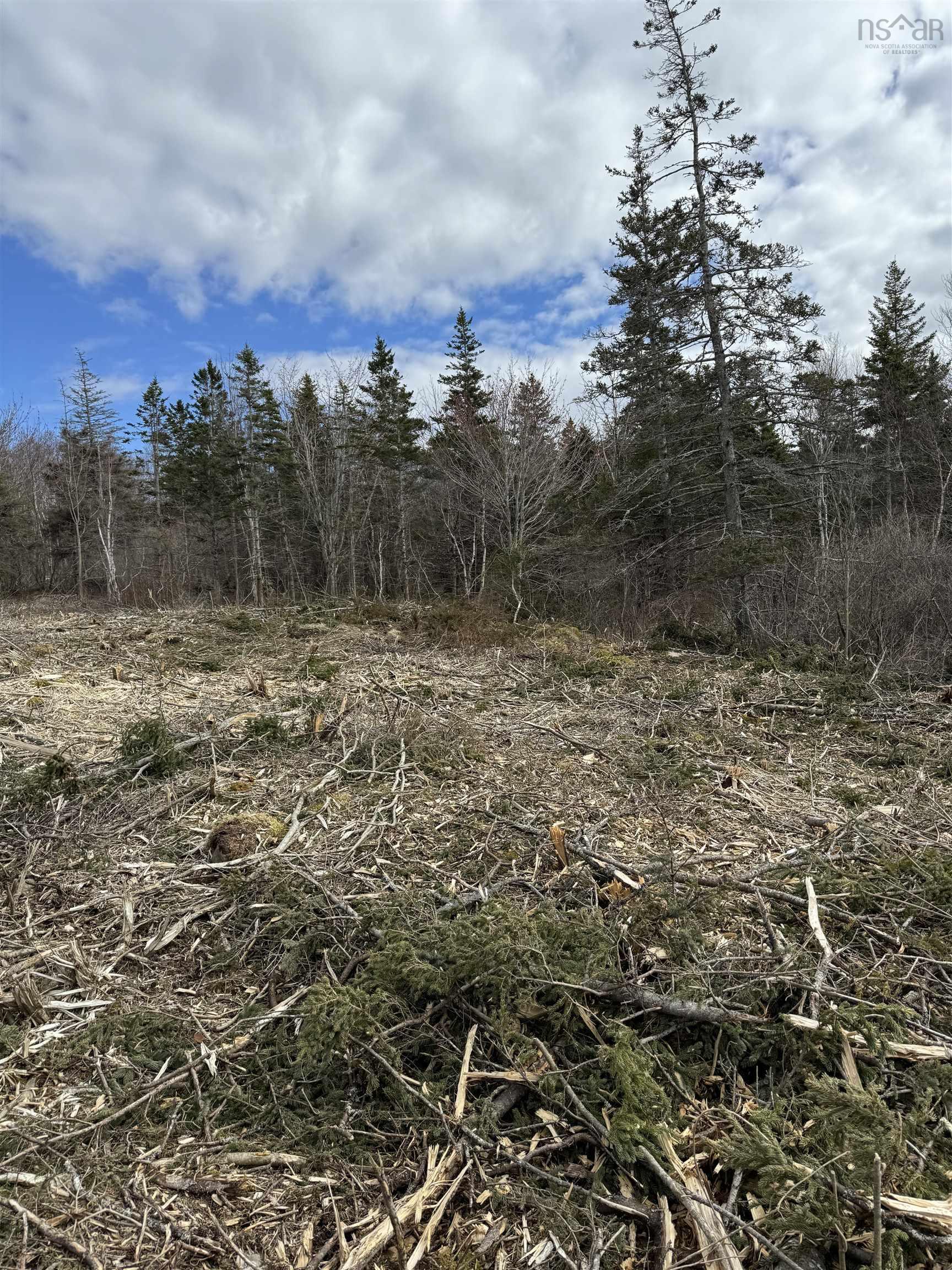 Land in Phinneys Cove 5