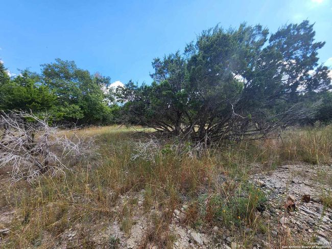 210 Indian Trl, Home with 0 bedrooms, 0 bathrooms and null parking in Spring Branch TX | Image 5