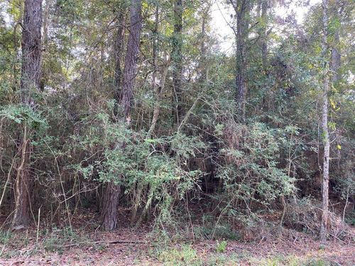 3 & 4 Live Oak Dr, Trinity, TX, 75862 | Card Image
