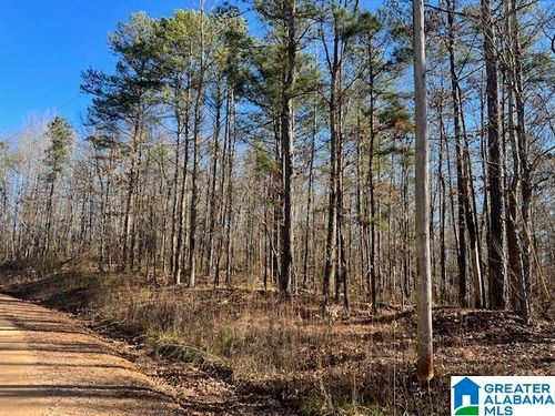 0-0 Creek Rd, Ashland, AL, 36251 | Card Image