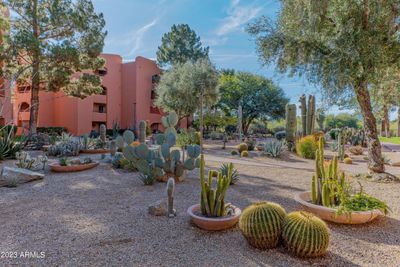 View of the Cactus Garden | Image 1