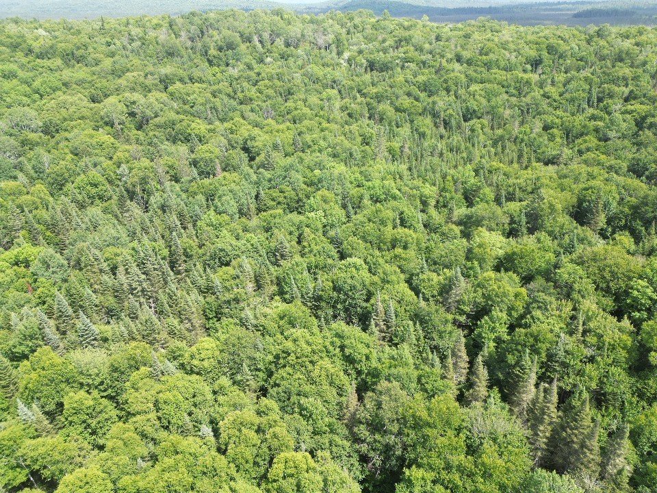 Land in Sainte-Anne-du-Lac 2