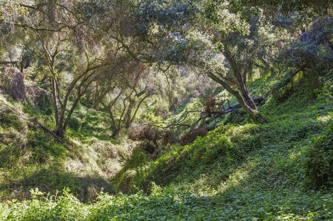 4620 Casitas Pass Rd, House other with 3 bedrooms, 3 bathrooms and null parking in Ventura CA | Image 7