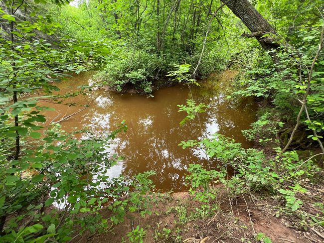 Sand River | Image 30