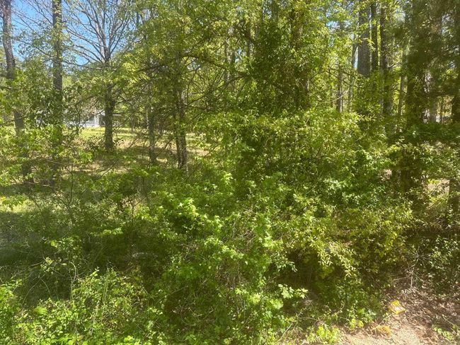 174 Joella Dr, House other with 3 bedrooms, 2 bathrooms and null parking in Pearcy AR | Image 13